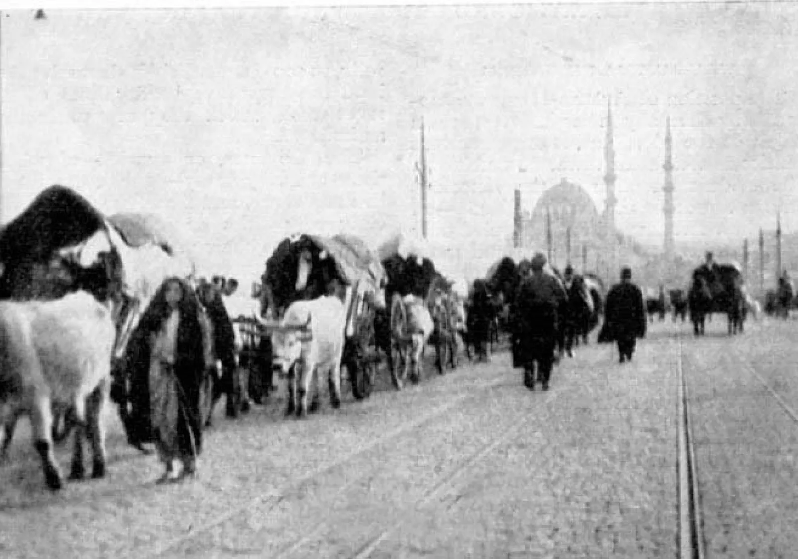 241c2e23a73afa3802d915d481e0d9fc