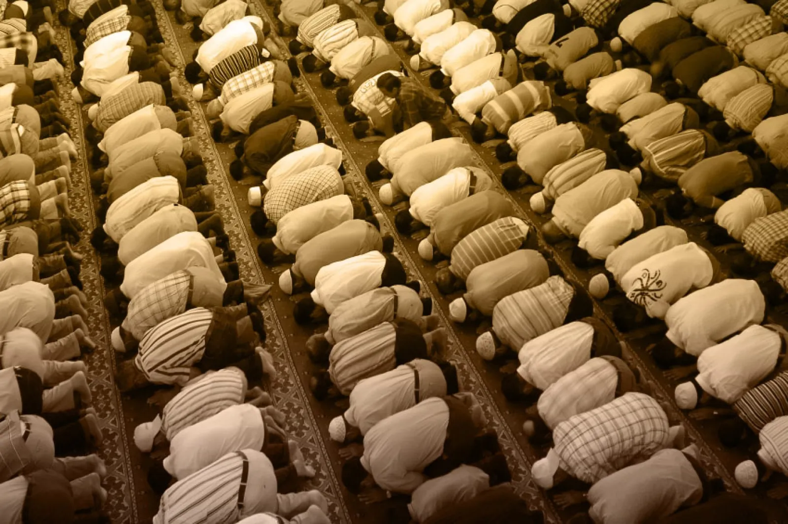 f86ea0cd7b75faddb189a7536dfdc4cb_XL